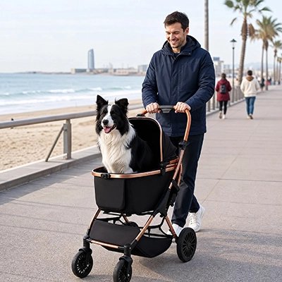Poussette pour Chien grillagées bord de mer