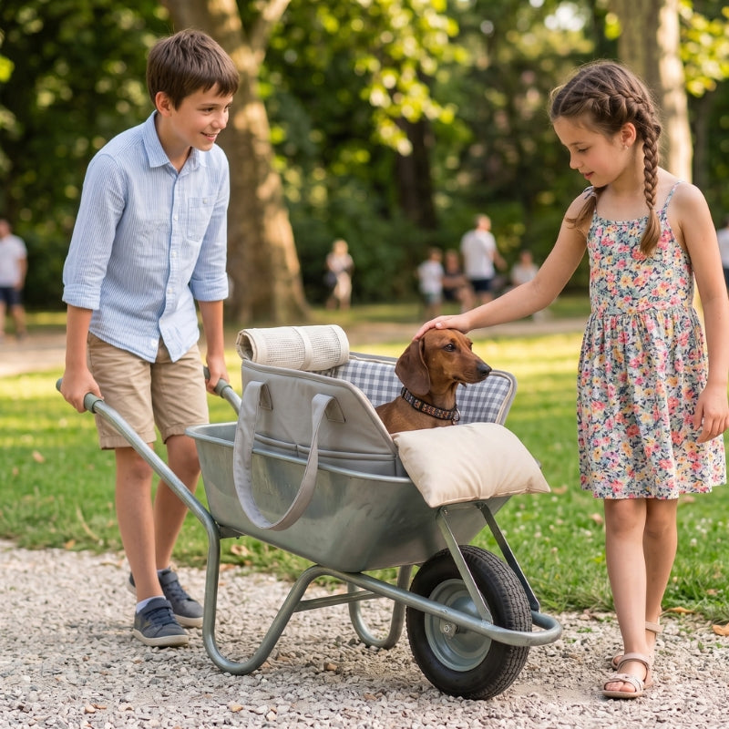 Sac de transport pour chien gris en promenade