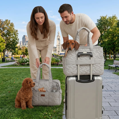 Sac de transport pour chien gris placé sur une valise avec un couple et un petit chien