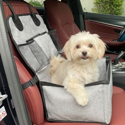 Siege auto pour chien caniche
