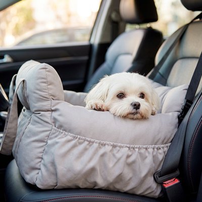 Siege auto pour chien confortable siège voiture