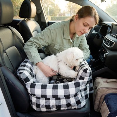 Siege auto pour chien maman dépose le chien