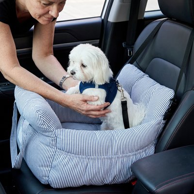 Siege auto pour chien une maman dans la voiture