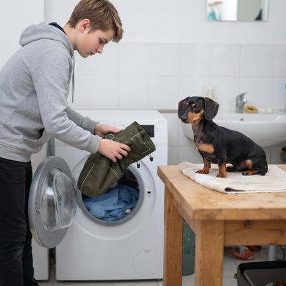 Vêtement pour chien noir tenu près du lave-linge avec un petit chien sur la table