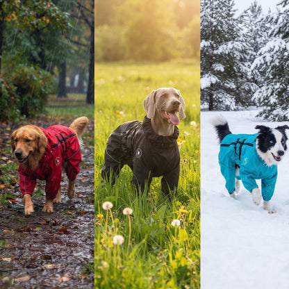 Vêtement pour chien rouge noir et bleu porté en forêt dans une prairie et la neige